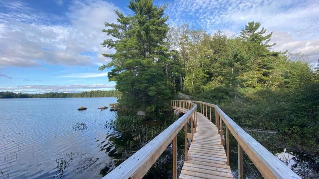 a wooden walkway over water with trees and blue sky